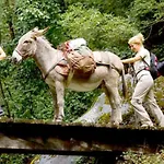 Апартаменты Waldquartier Wackerberg Kall