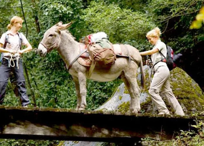 公寓 Waldquartier Wackerberg Kall